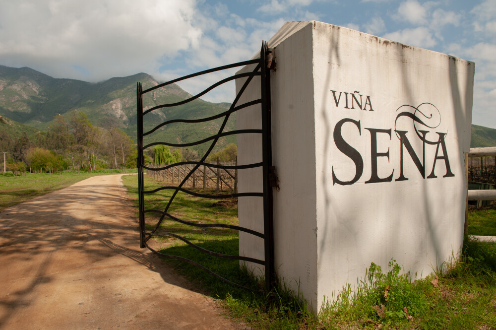 Vina Sena: Eduardo Chadwick